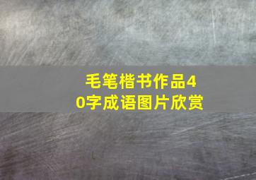 毛笔楷书作品40字成语图片欣赏