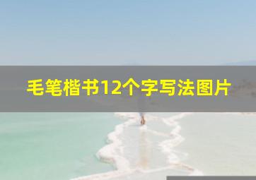 毛笔楷书12个字写法图片