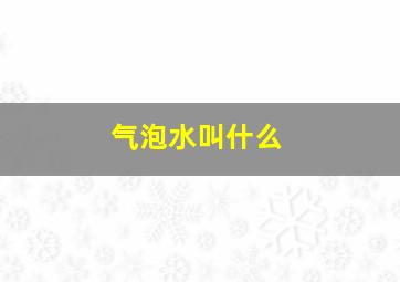 气泡水叫什么