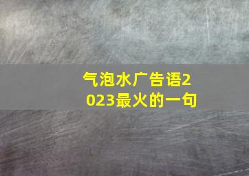 气泡水广告语2023最火的一句