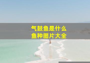 气鼓鱼是什么鱼种图片大全