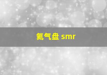 氦气盘 smr