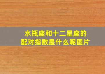 水瓶座和十二星座的配对指数是什么呢图片