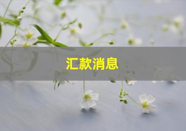 汇款消息