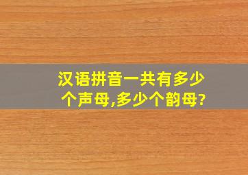 汉语拼音一共有多少个声母,多少个韵母?