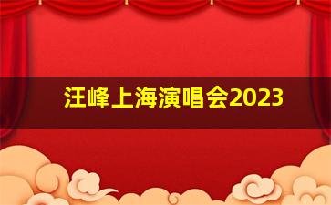 汪峰上海演唱会2023