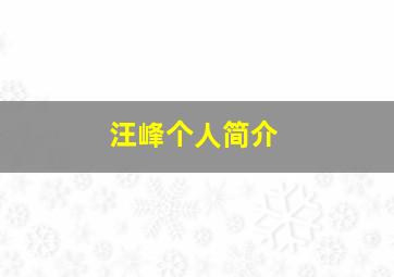 汪峰个人简介