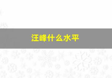 汪峰什么水平