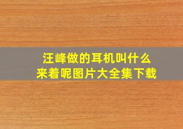 汪峰做的耳机叫什么来着呢图片大全集下载