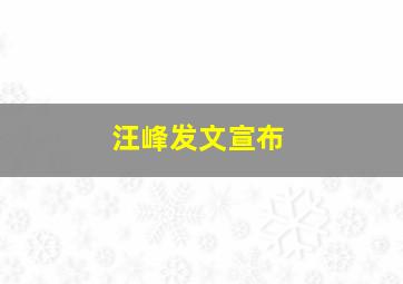 汪峰发文宣布