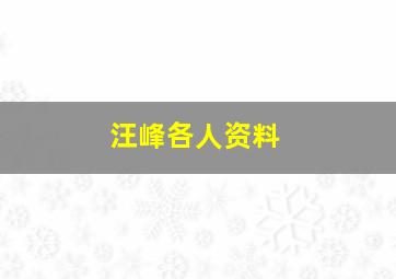 汪峰各人资料