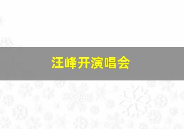 汪峰开演唱会