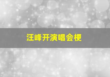 汪峰开演唱会梗