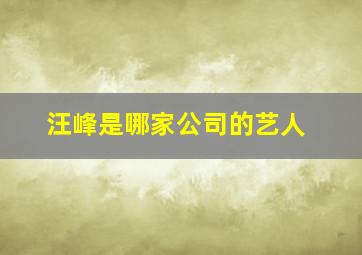 汪峰是哪家公司的艺人