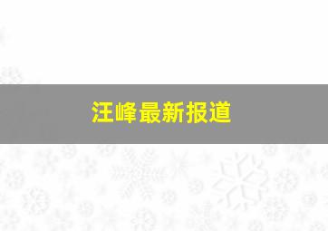 汪峰最新报道