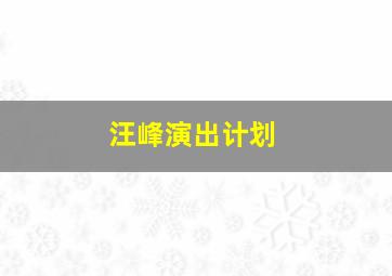 汪峰演出计划