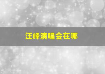 汪峰演唱会在哪