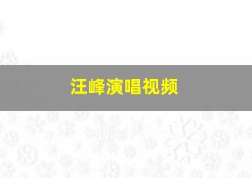 汪峰演唱视频