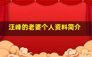 汪峰的老婆个人资料简介