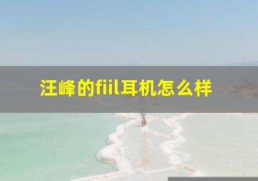 汪峰的fiil耳机怎么样