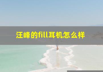 汪峰的fill耳机怎么样