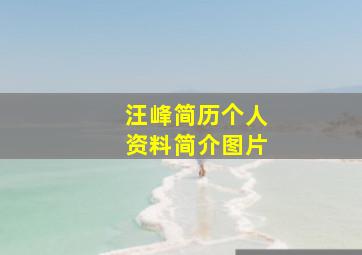 汪峰简历个人资料简介图片