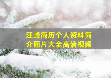 汪峰简历个人资料简介图片大全高清视频