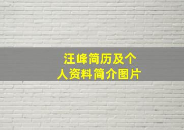 汪峰简历及个人资料简介图片