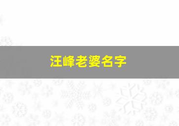 汪峰老婆名字