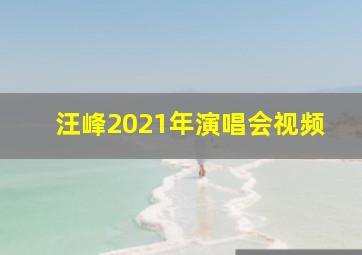 汪峰2021年演唱会视频