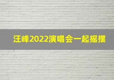 汪峰2022演唱会一起摇摆