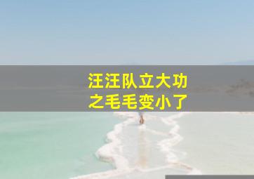 汪汪队立大功之毛毛变小了