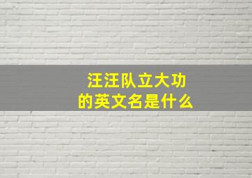 汪汪队立大功的英文名是什么