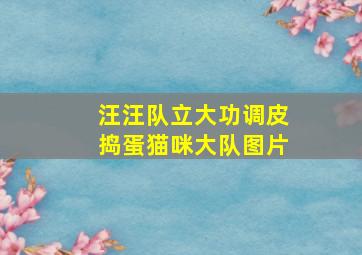 汪汪队立大功调皮捣蛋猫咪大队图片