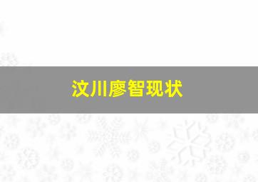 汶川廖智现状