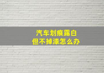 汽车划痕露白但不掉漆怎么办