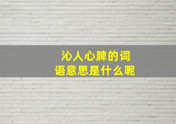 沁人心脾的词语意思是什么呢