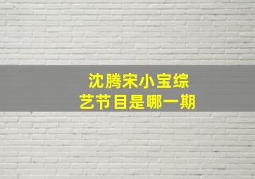 沈腾宋小宝综艺节目是哪一期