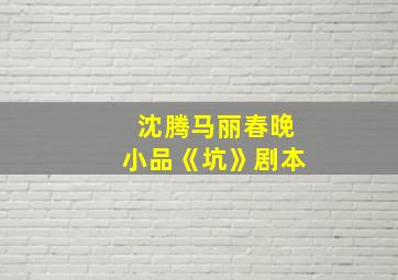 沈腾马丽春晚小品《坑》剧本