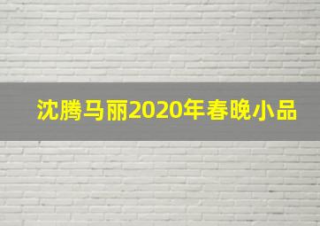 沈腾马丽2020年春晚小品