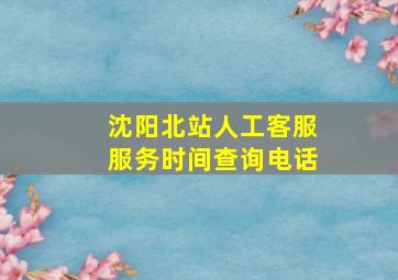 沈阳北站人工客服服务时间查询电话