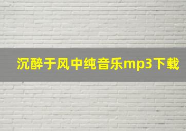 沉醉于风中纯音乐mp3下载