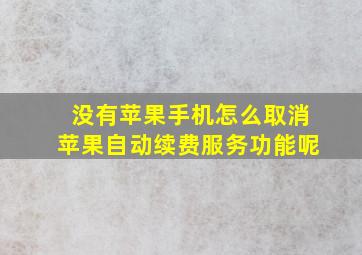 没有苹果手机怎么取消苹果自动续费服务功能呢