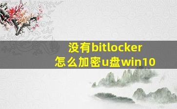 没有bitlocker怎么加密u盘win10