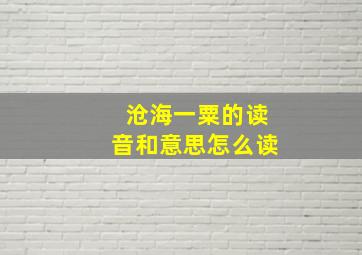 沧海一粟的读音和意思怎么读