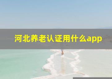 河北养老认证用什么app