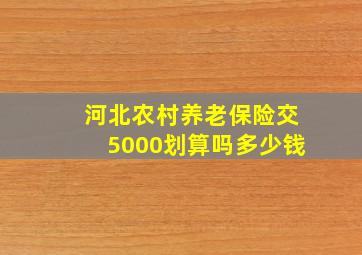 河北农村养老保险交5000划算吗多少钱