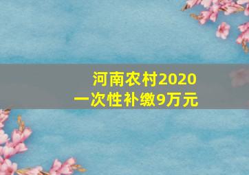 河南农村2020一次性补缴9万元