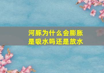 河豚为什么会膨胀是吸水吗还是放水