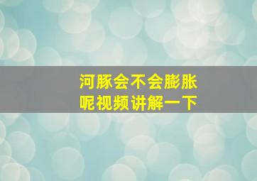 河豚会不会膨胀呢视频讲解一下